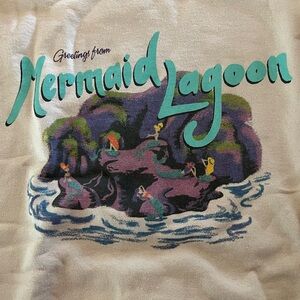 Disney (The Lost Bros) Peter Pan Sweatshirt. New (Never Worn). Size M